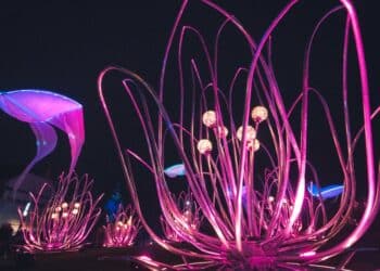 decoration lumineuse la nuit représentant une énorme fleur violette