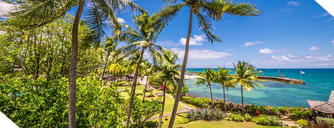 vue sur les jardins de l 'hotel et la plage