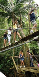 famille sur des pont suspendus dans les arbres