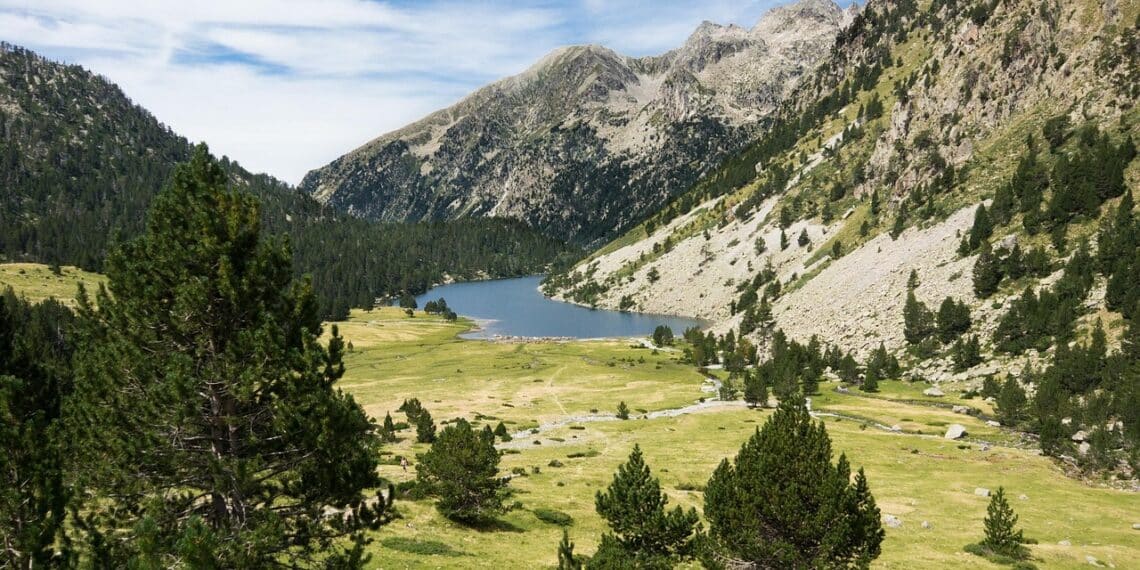 pyrenees