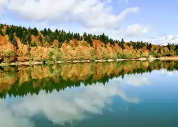 Photo credits : Georgia Travel