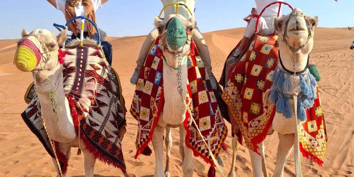 ©Saudi, Bienvenue en Arabie