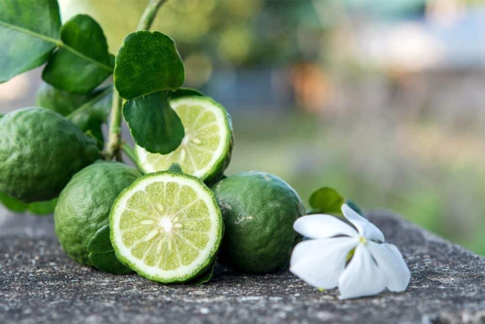 La bergamote de Calabre; 80% de la production mondiale ©Regione Calabria