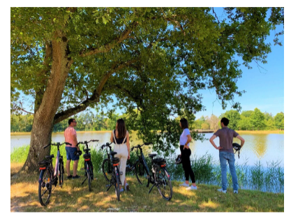 vélos lac forêt