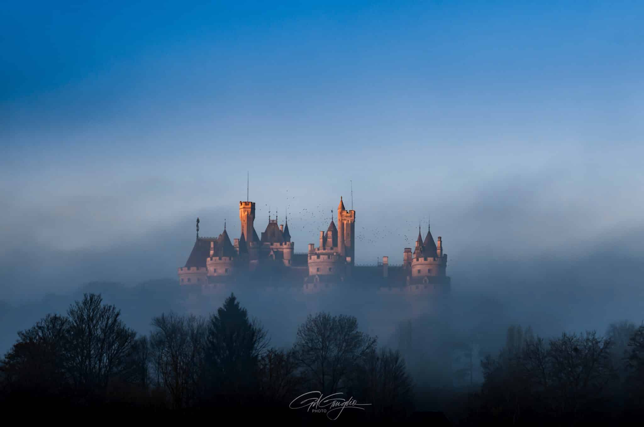 Château médiéval sur forêt et sur fond de ciel brumeux. Photo de Gil Giuglio