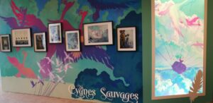 tableaux cygnes sauvages