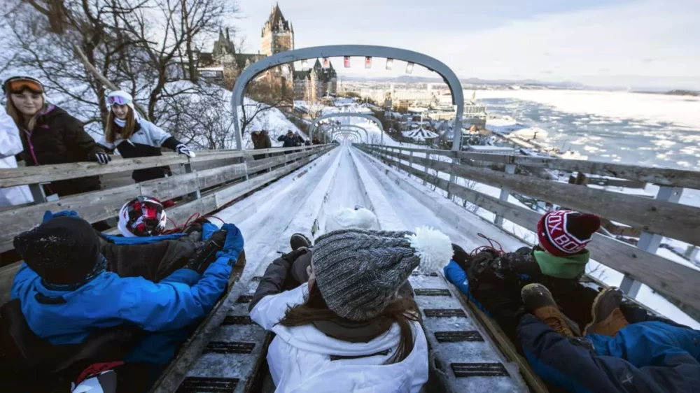 enfants sur des Bobsleigh