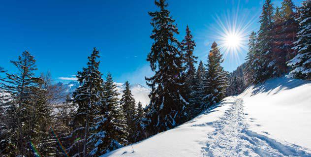 pente enneigée et forêt des sapins avec un ciel ensoleillé