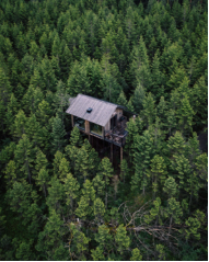 vue aérienne d'une chambre sur pilotis dans une forêt de sapins