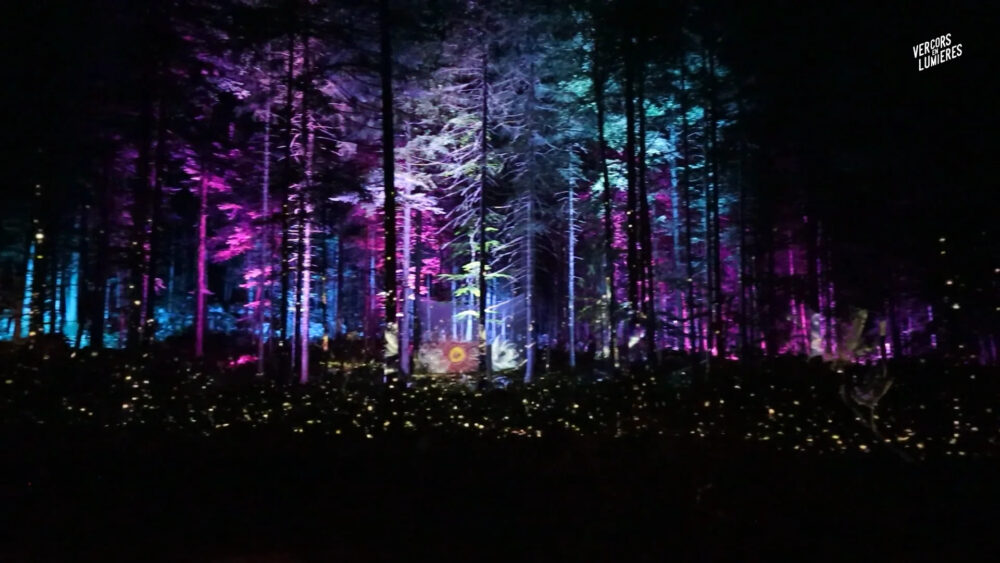 forêt lumineuse