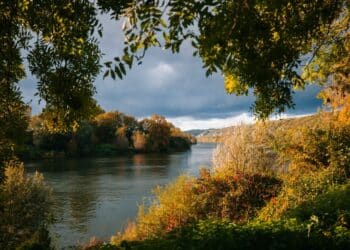 vue sur les bords de marne