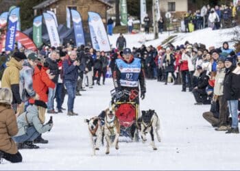 Grande Odyssée Royal Canin