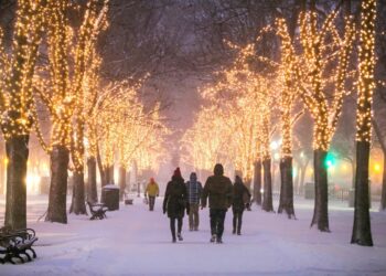 rue enneigée passants arbres illuminés