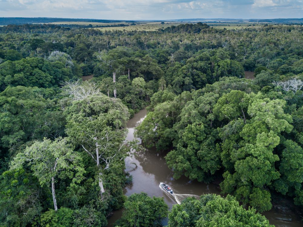 fleuve forêt tropicale Congo