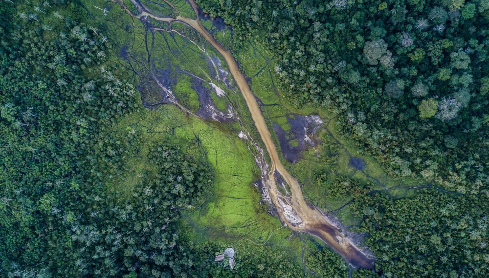 fleuve forêt tropicale Congo