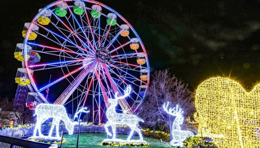grande roue et cerfs lumineux
