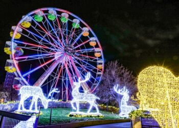 grande roue et cerfs lumineux