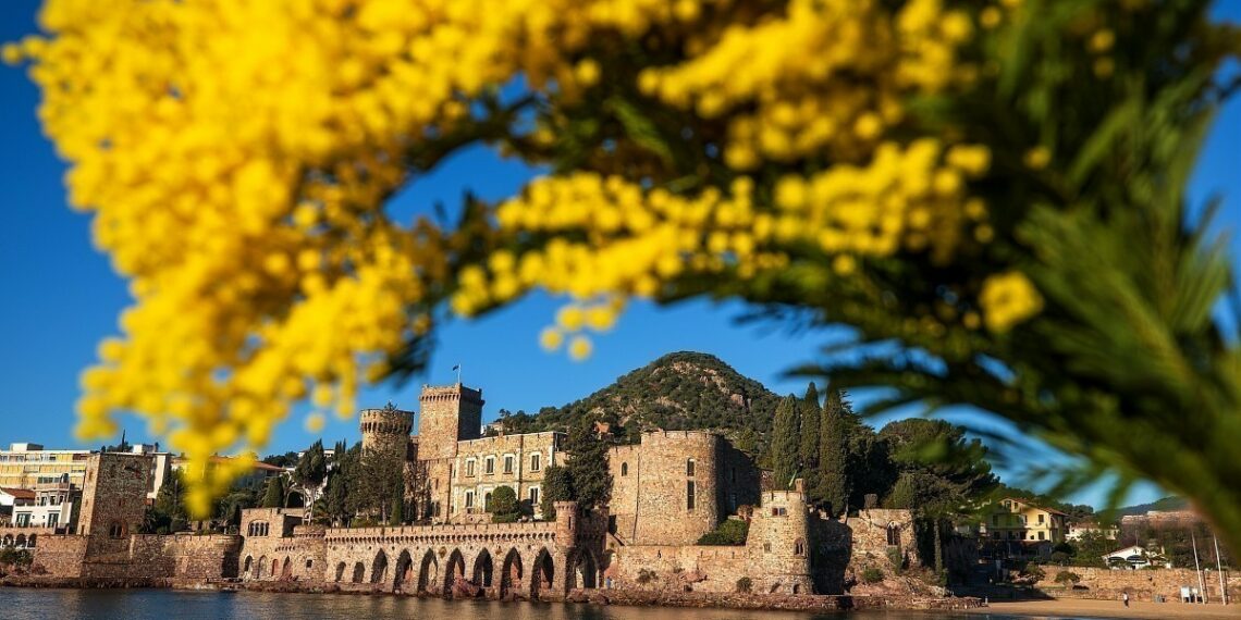vue de mandelieu et les mimosas