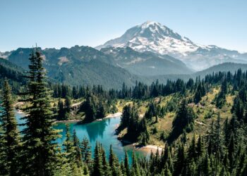 lac forêts montagnes