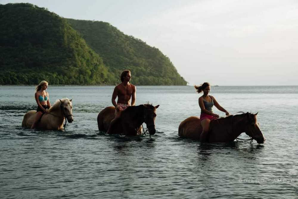 chevaux plage