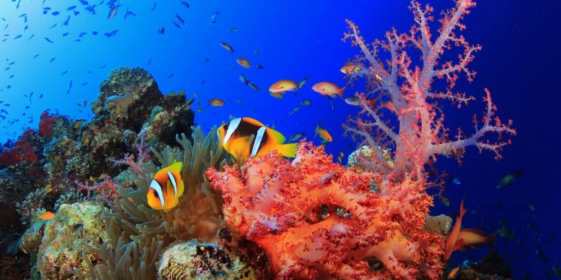 Mer Rouge