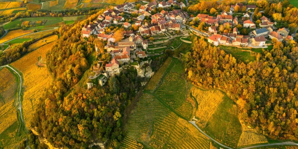 vignoble vue aérienne