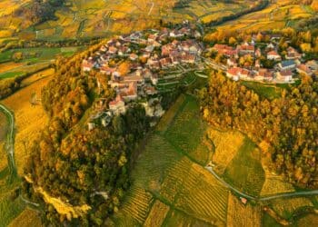 vignoble vue aérienne