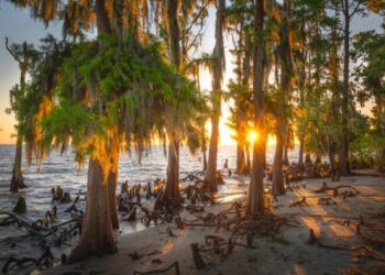 plage coucher de soleil