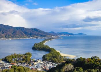 baie pins bande de sable