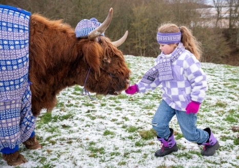 yack et petite fille dans la neige