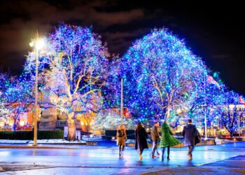 sapins illuminés passants