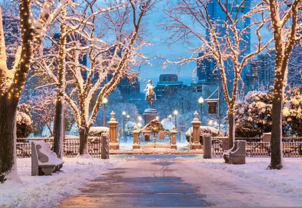 rue enneigée arbres illuminés