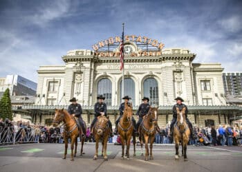 chevaux cavaliers