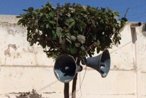 hauts parleurs arbre