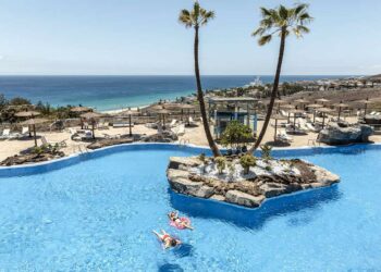 piscine palmiers plage