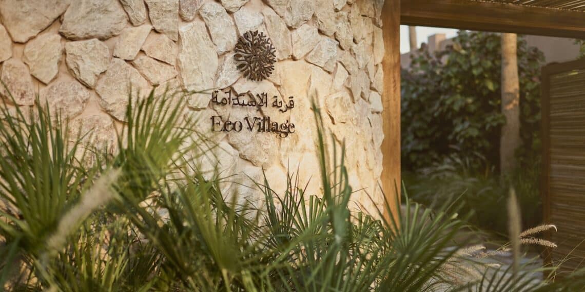 mur en pierre plantes