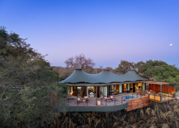 bungalows pilotis forêts