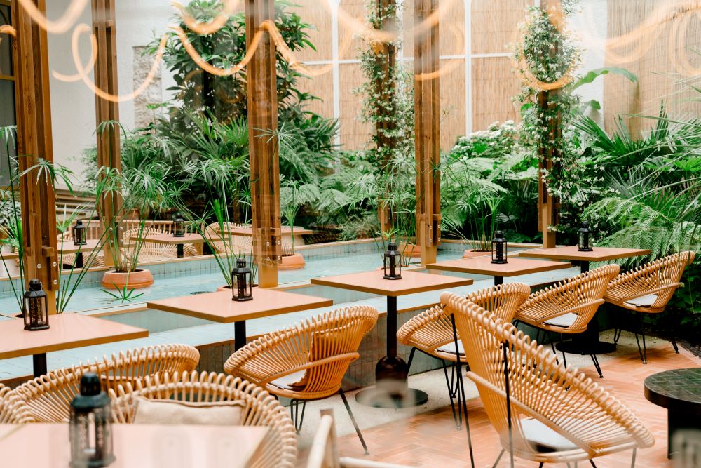 tables chaises végétation