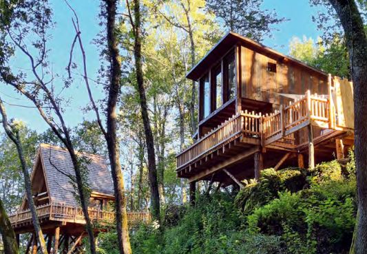 cabanes dans les arbres