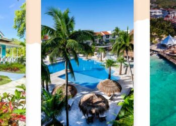 piscine palmiers plage