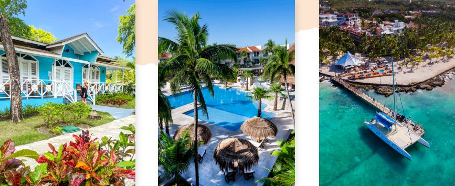 piscine palmiers plage