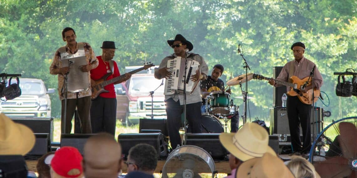 concert groupe musique scène accordéon