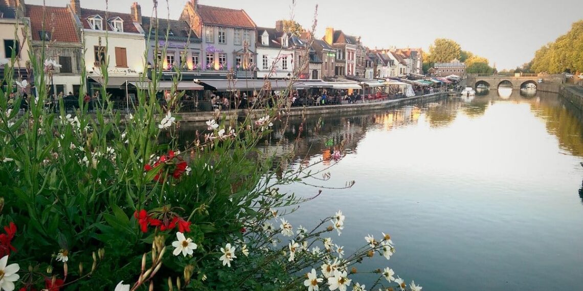 fleuve fleurs bâtiments