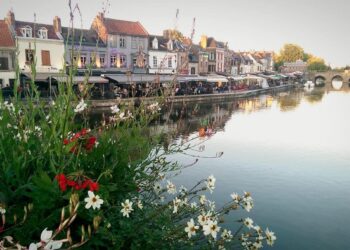 fleuve fleurs bâtiments