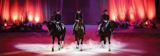 spectacle chevaux cavaliers