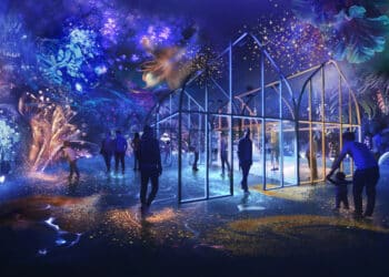 immersion dans le noir et lumières
