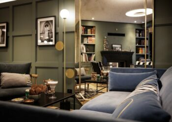 salon canapé livres