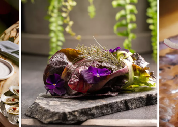 plats élaborés gastronomiques