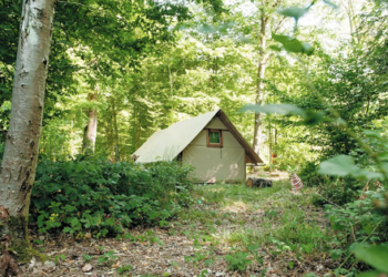 camping forêt mer