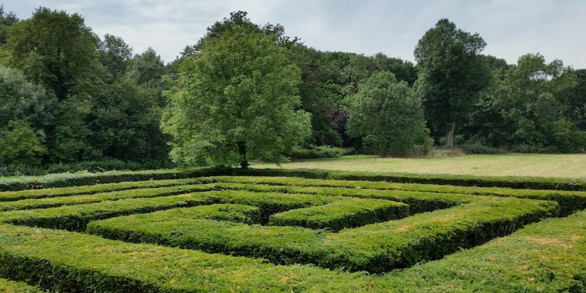 labyrinthe vegétal